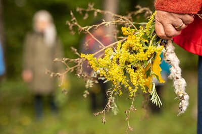 Am Weg zum Steinbruch in Mauthausen